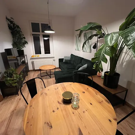 Whispers Of Forest And Sea - * Сопот